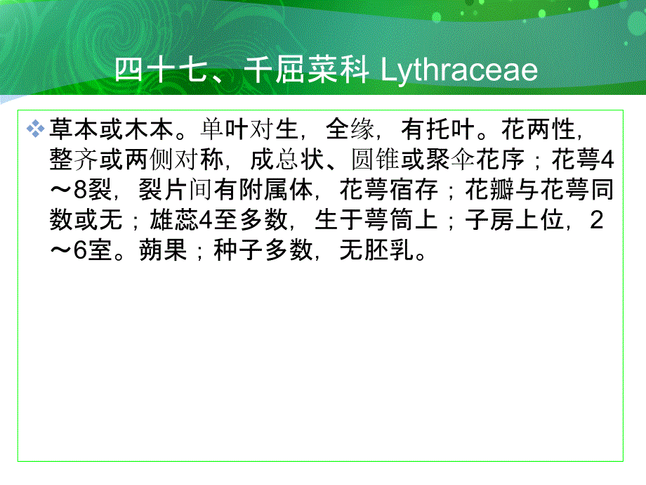 千屈菜科Lythracea_第1页