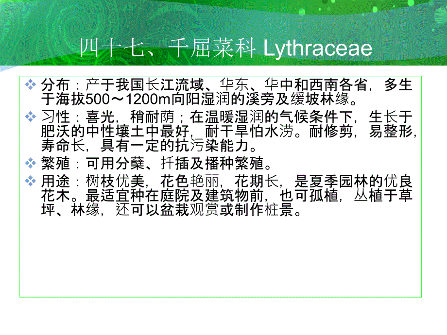 千屈菜科Lythracea_第3页