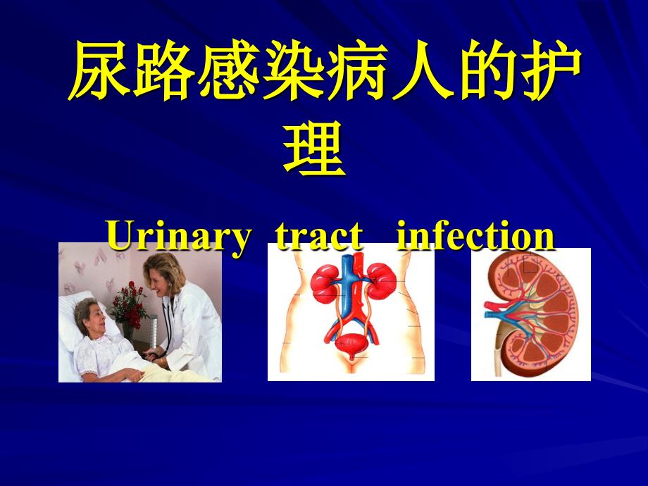 【学习课件】第三节尿路感染病人的护理_第1页