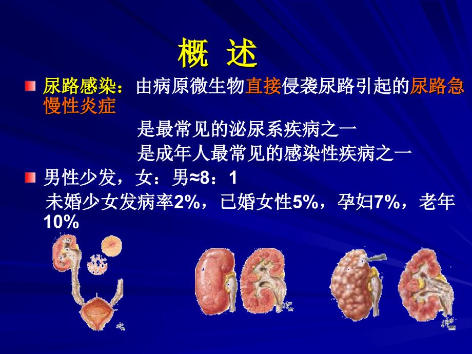 【学习课件】第三节尿路感染病人的护理_第2页