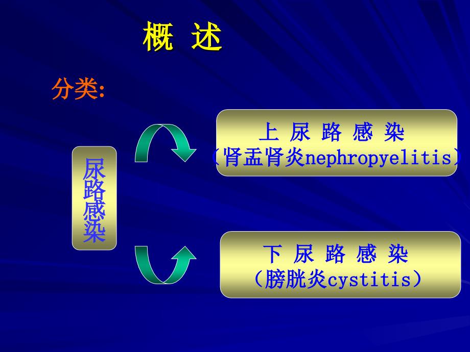 【学习课件】第三节尿路感染病人的护理_第4页