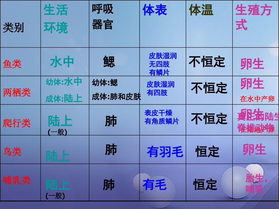 浙江省温州市苍南县龙港镇七年级科学上册 2.4.2 常见的动物课件 （新）浙教_第4页