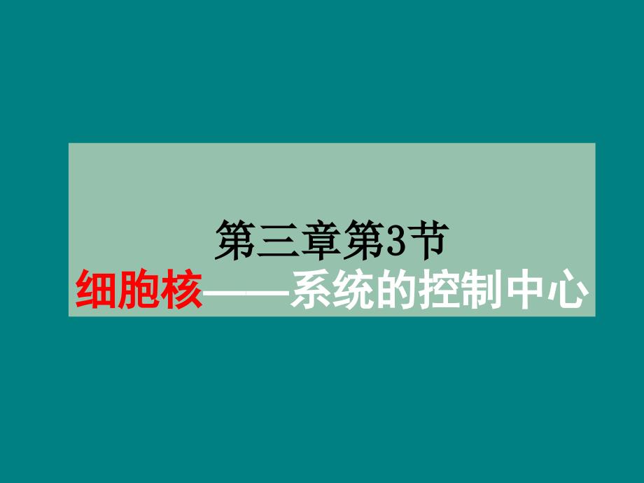 细胞核——系统的控制中心_第4页