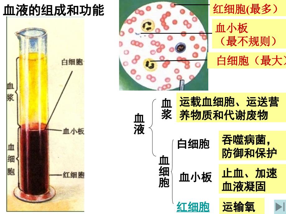 七下复习第二课时_第2页