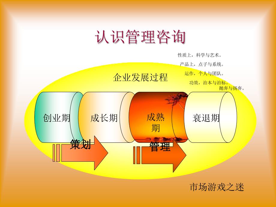 戴德梁行物业管理顾问操作实务_第3页