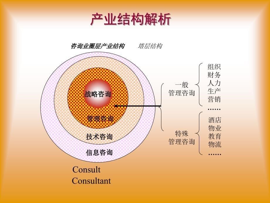 戴德梁行物业管理顾问操作实务_第5页