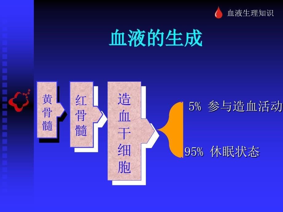 《献血科普知识讲座》PPT课件.ppt_第5页