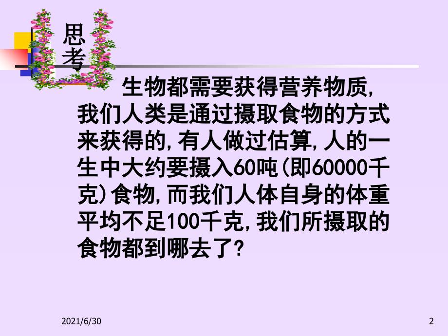 尿的形成与排出(课件)_第2页