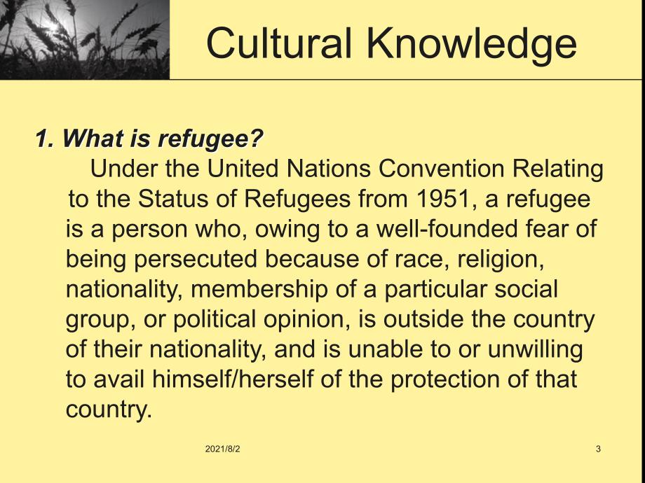 unit2Refugee_第3页