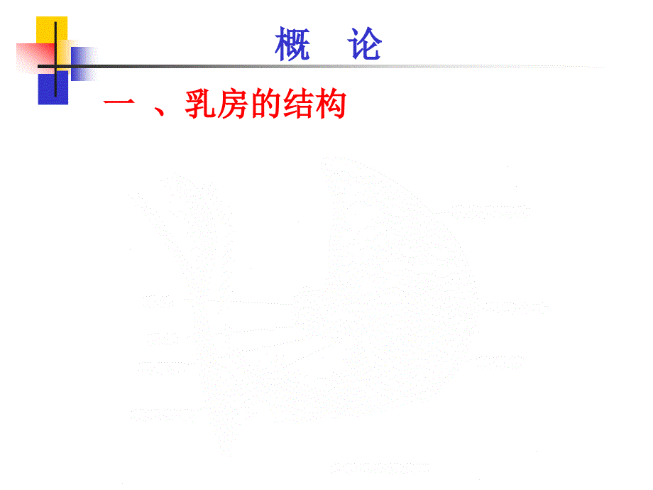 中医外科学(1).ppt_第2页