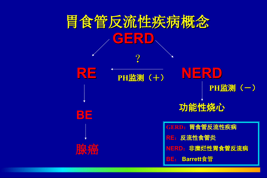 胃食管反流性疾病及反流性食管炎_第4页