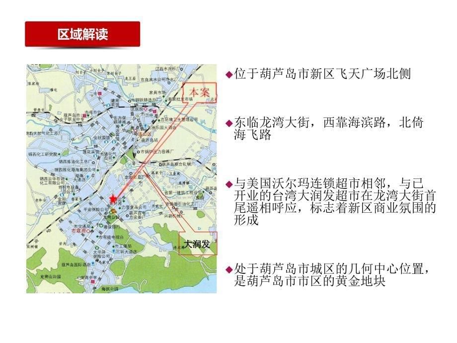 葫芦岛兴隆大家庭项目前期营销策划思路84p_第5页