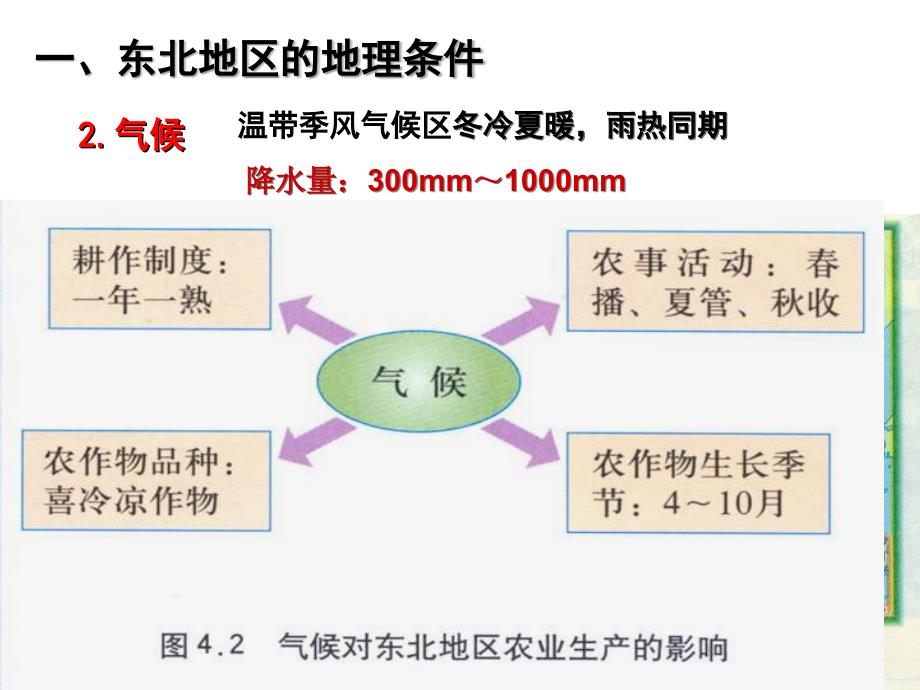 农业区域发展一东北地区为例_第4页