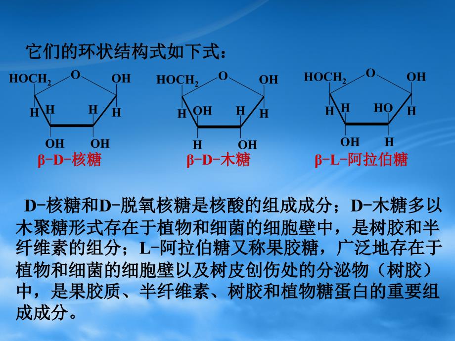 第三章糖类及糖代谢_第3页