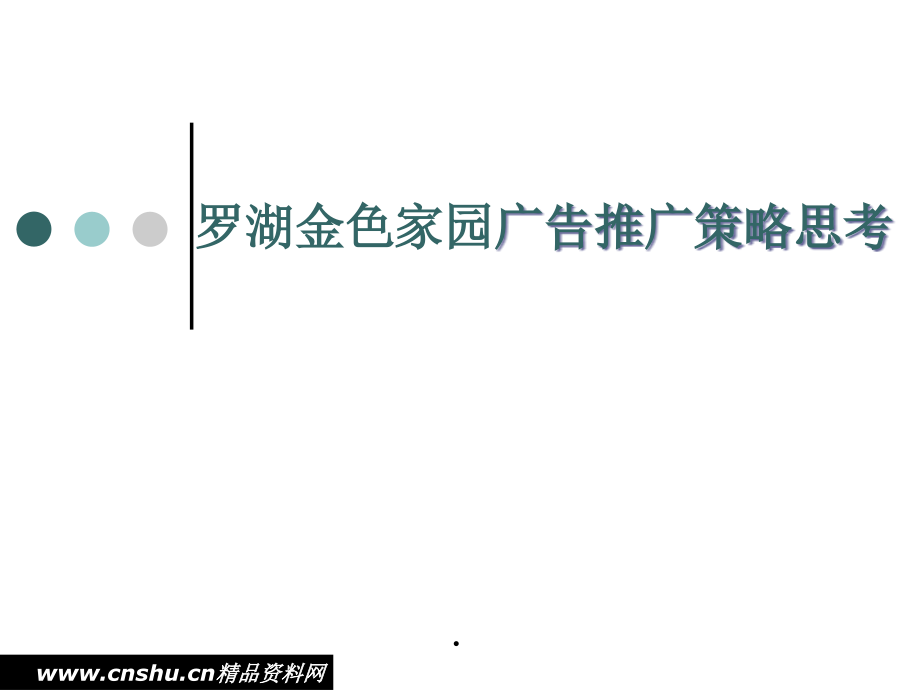 某项目广告推广策略提案(PowerPoint 61页)_第2页