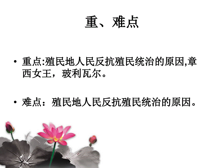 16课殖民地人民的抗争_第3页