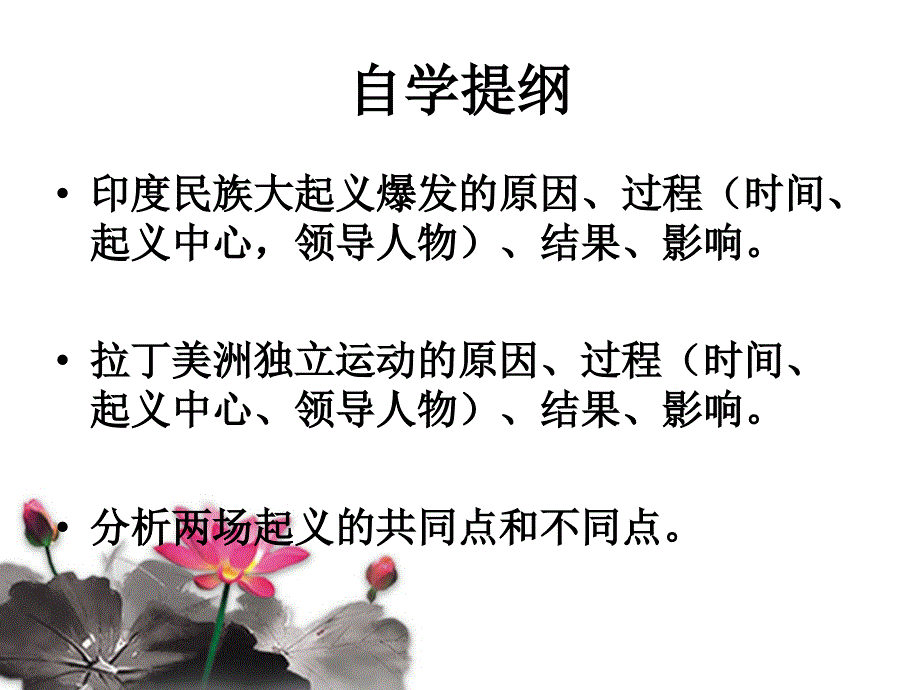 16课殖民地人民的抗争_第4页