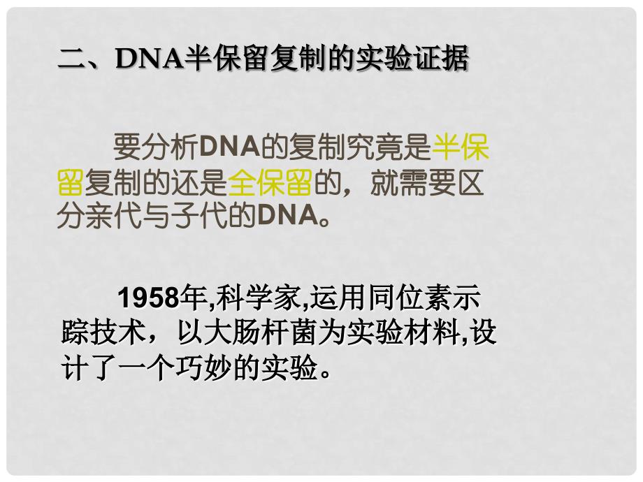 高中生物 3.3 DNA的复制课件（1）新人教版必修2_第3页