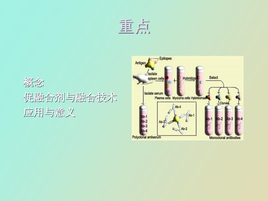 细胞生物学实验细胞融合_第2页