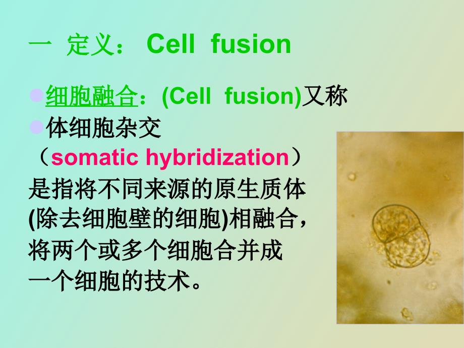 细胞生物学实验细胞融合_第3页