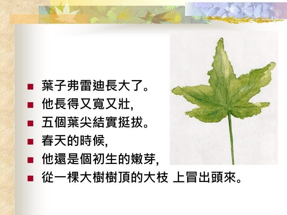 一片叶子落下来_第5页