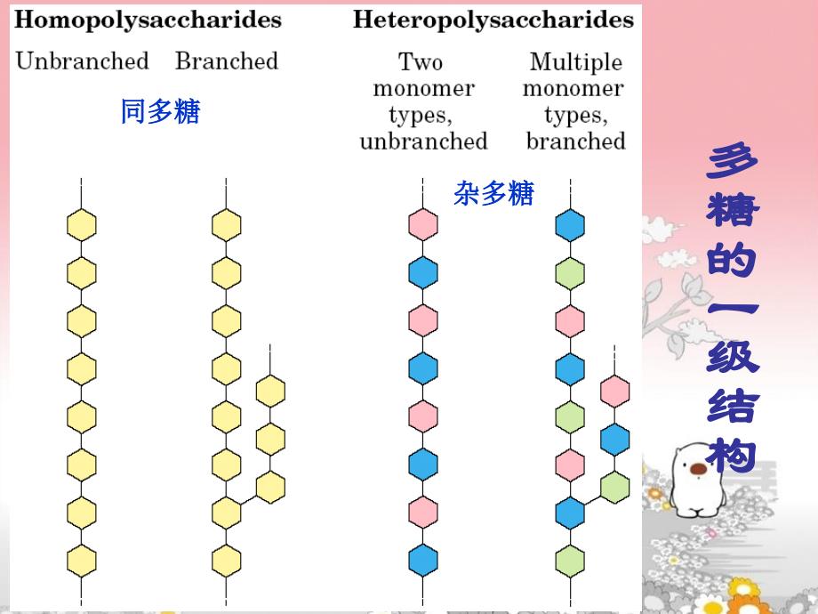 多糖结构构象及生物活性概述_第4页