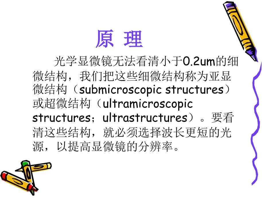 细胞实验二细胞损伤与保护2_第5页