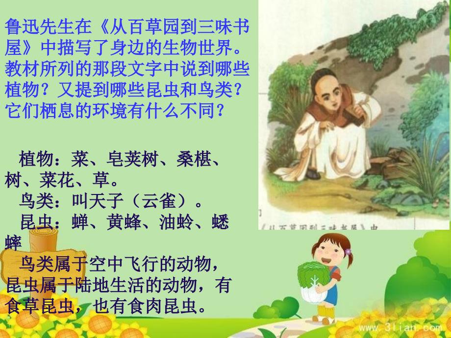 MA调查周边环境中的生物.ppt_第3页