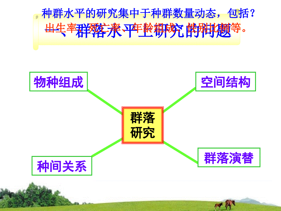 我群落的结构1_第4页