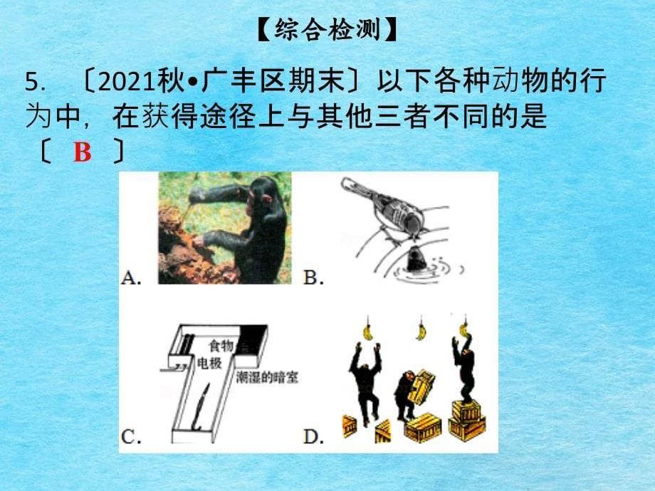 八年级北师大版生物全一册第16章综合检测ppt课件_第5页