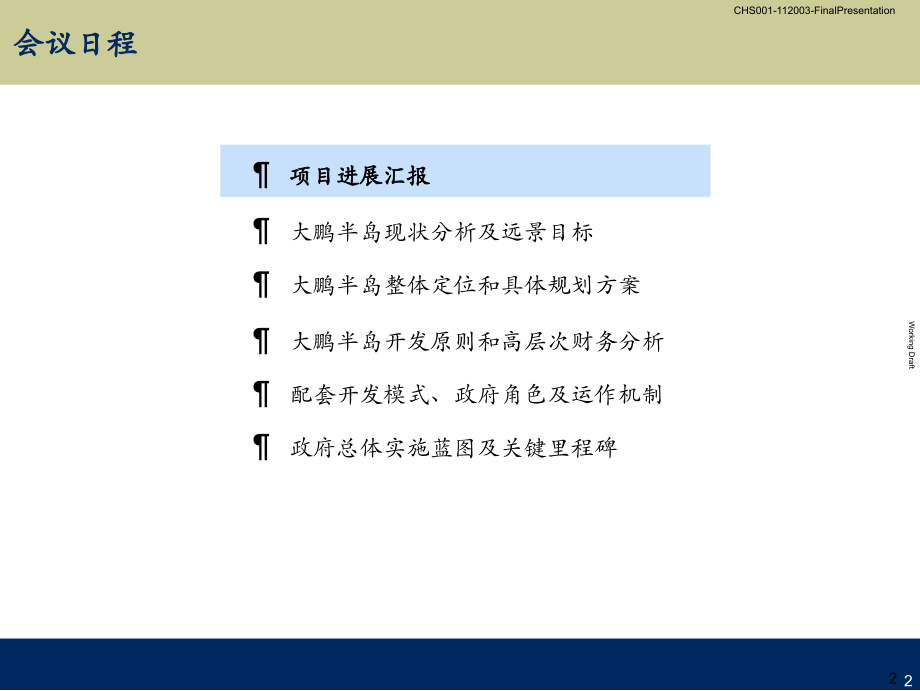 房地产深圳大鹏半岛区域开发策p_第3页