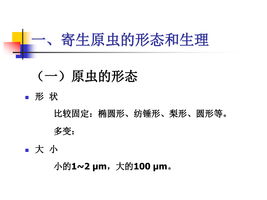 动物寄生虫病学许金俊点第三章：原虫病_第3页