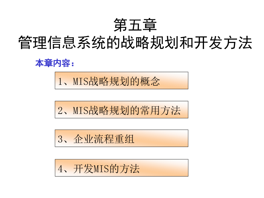 4-管理信息的战略规划和开发方法_第2页