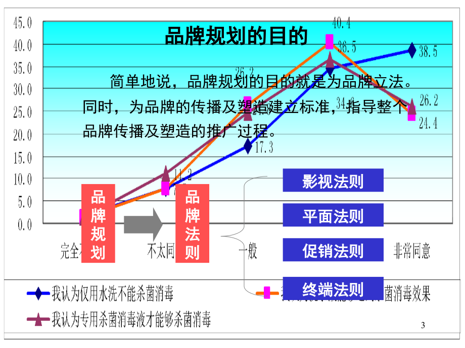 caina瑜洁品牌规划_第3页