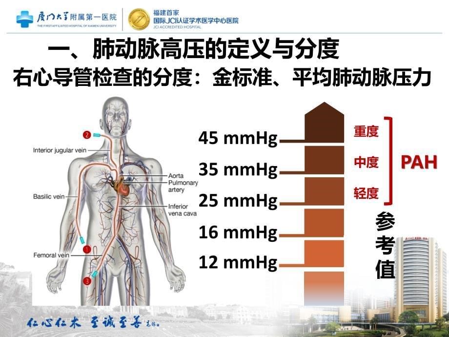 肺动脉高压患者的孕产期治疗.ppt_第5页