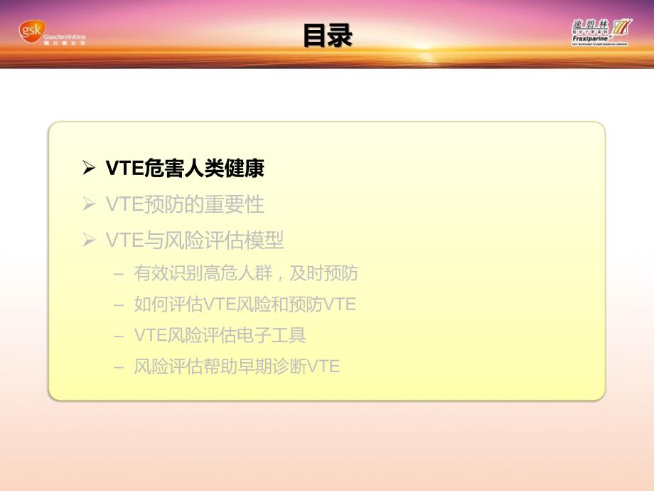 VTE风险评估p_第3页