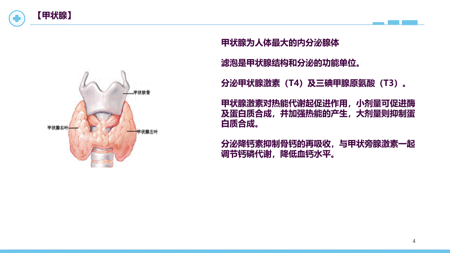 甲状腺癌的护理ppt课件_第4页