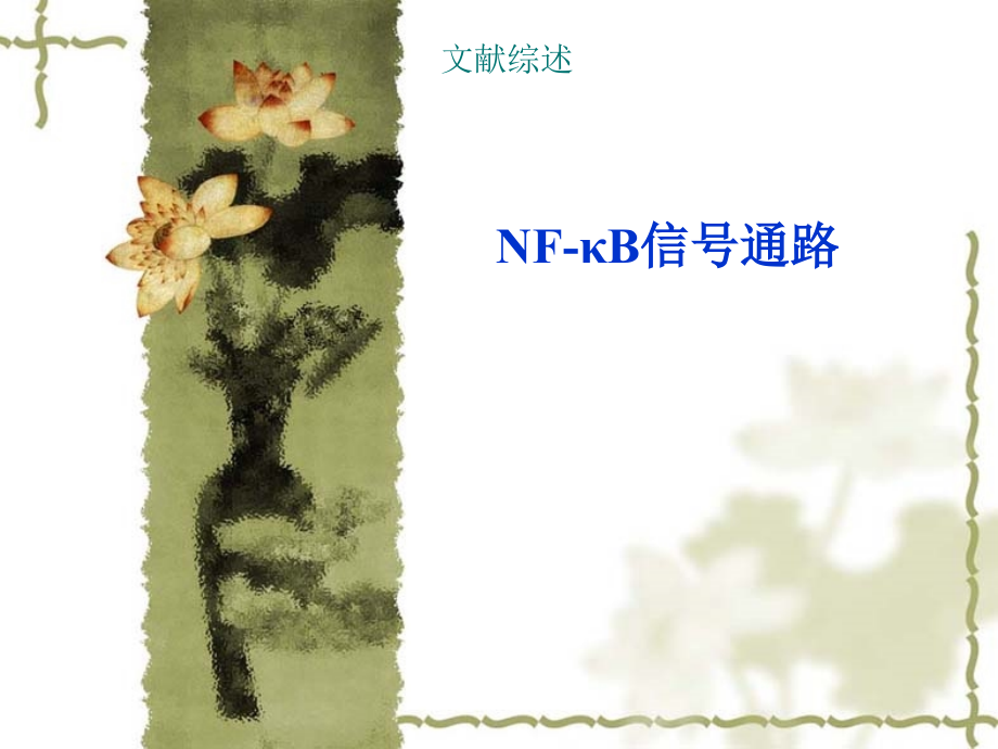 NFκB信通路_第1页