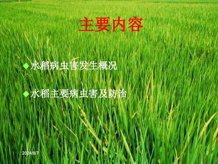 《水稻病虫害防治》PPT课件.ppt_第2页