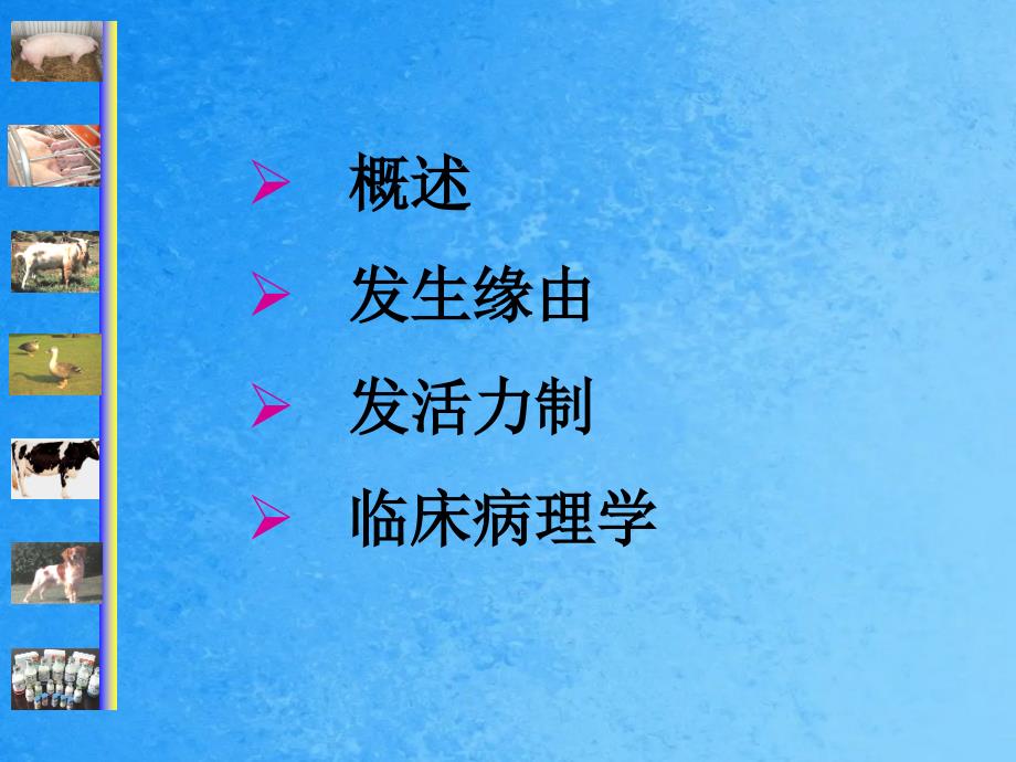 动物病理学11心功能不全ppt课件_第2页