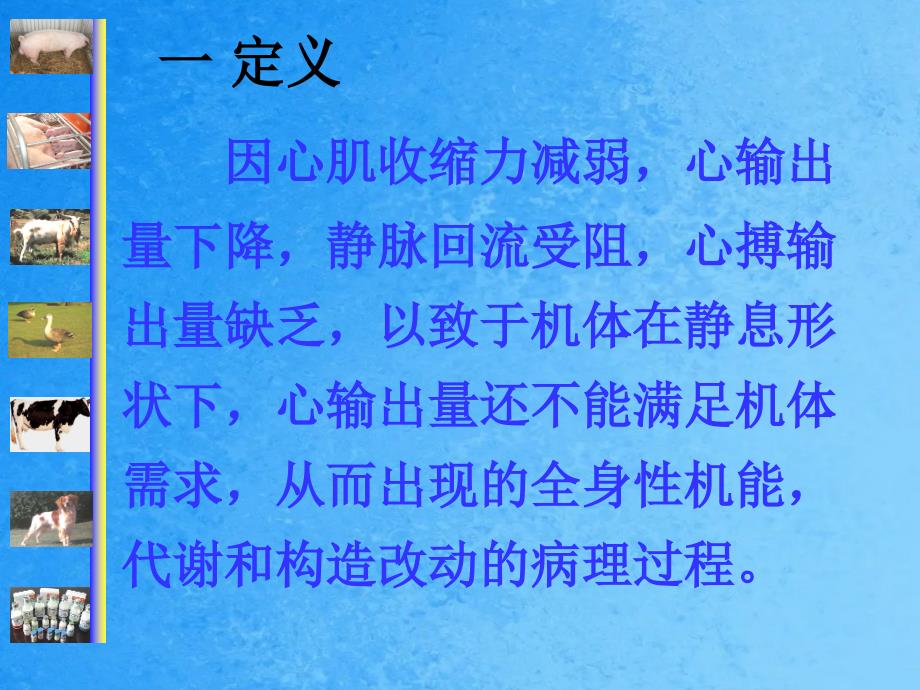 动物病理学11心功能不全ppt课件_第4页