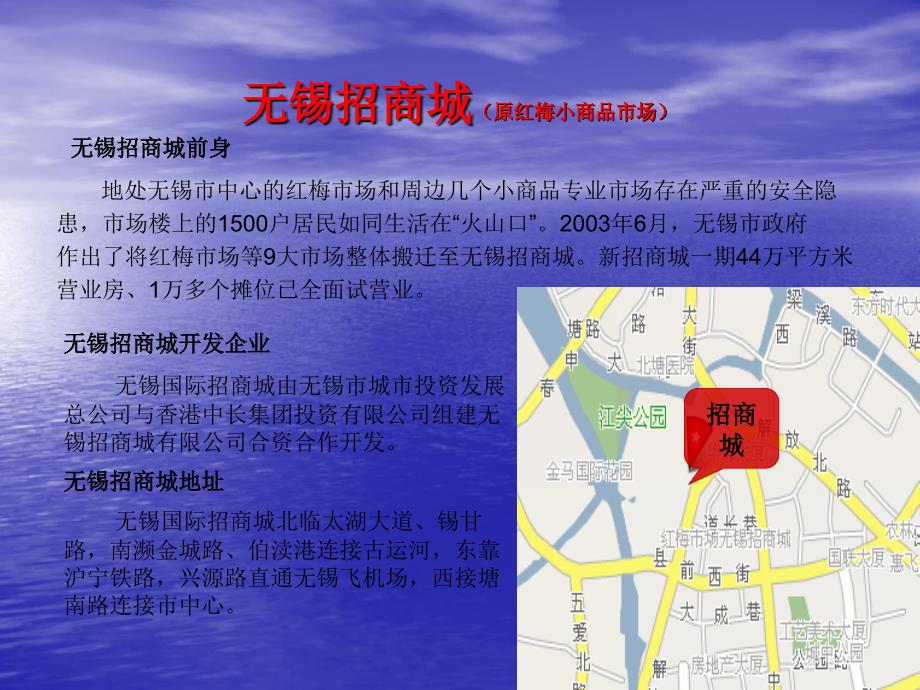 无锡五大小商品市场项目调研资料_第3页