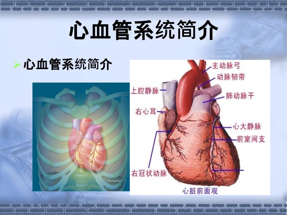 心脏疾病病人的护理_第4页