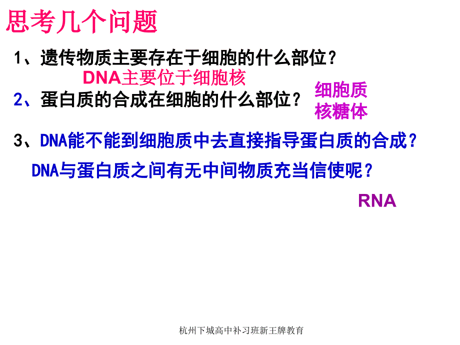 杭州下城高中补习班新王牌教育——基因指导蛋白质的合成_第3页