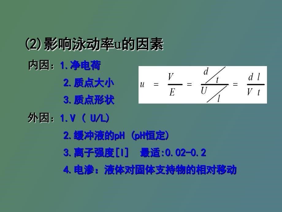 生物工程下游技术第十四章+电泳分离技术_第5页