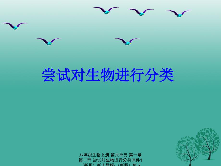 最新八年级生物上册第六单元第一章第一节尝试对生物进行分类1_第1页