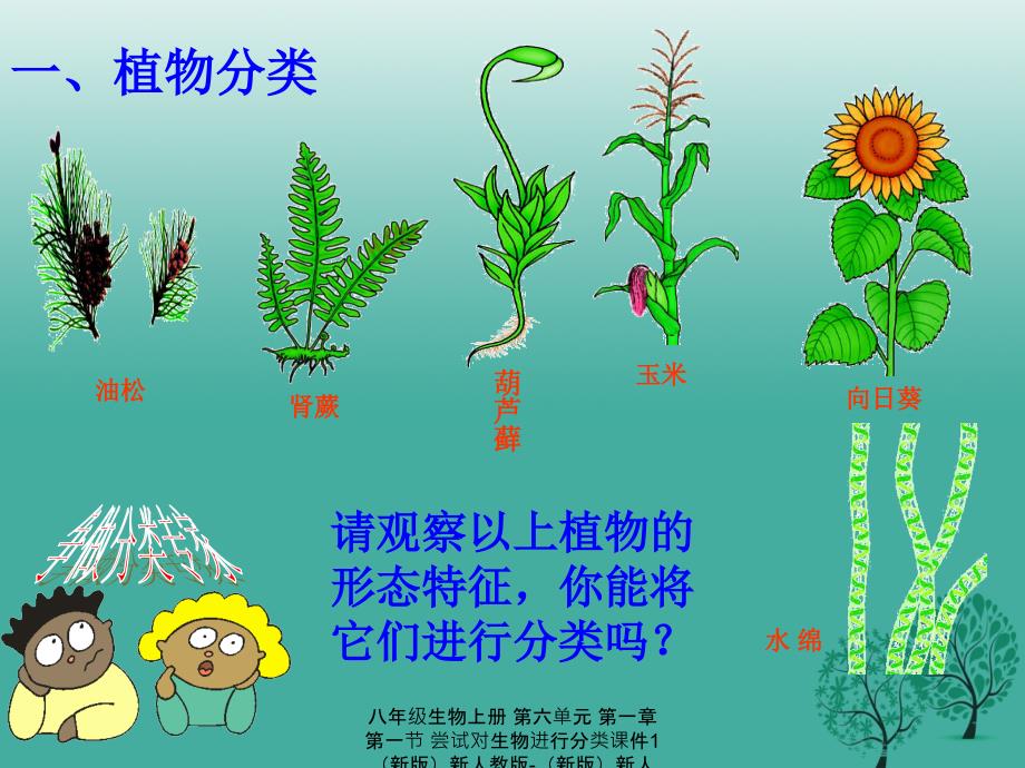 最新八年级生物上册第六单元第一章第一节尝试对生物进行分类1_第3页