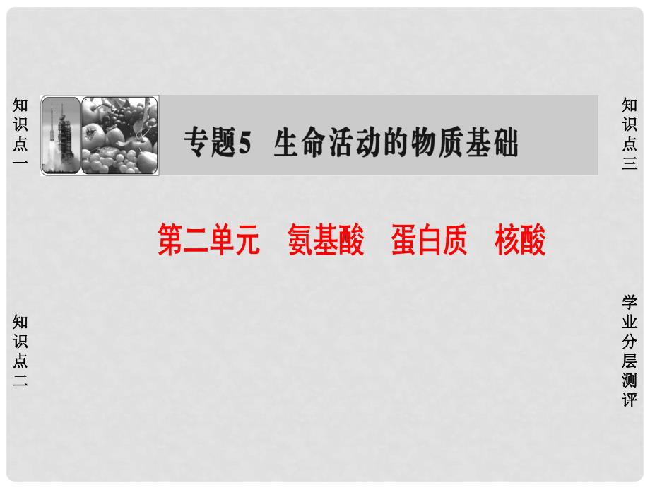 高中化学 专题5 生命活动的物质基础 第2单元 氨基酸 蛋白质 核酸课件 苏教版选修5_第1页