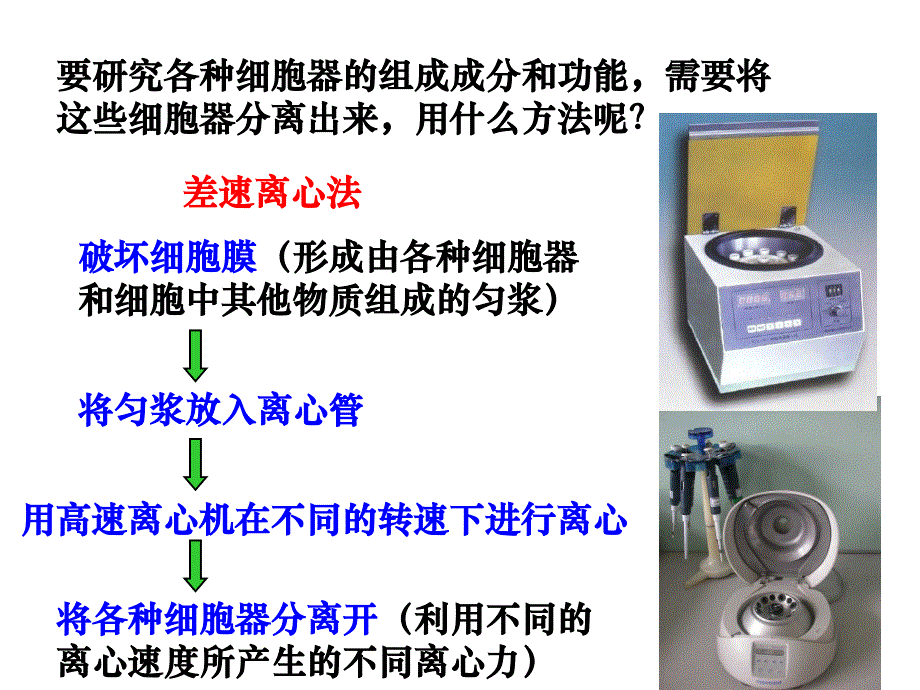 人教版教学课件细胞的结构2(细胞质和细胞核部分)_第4页