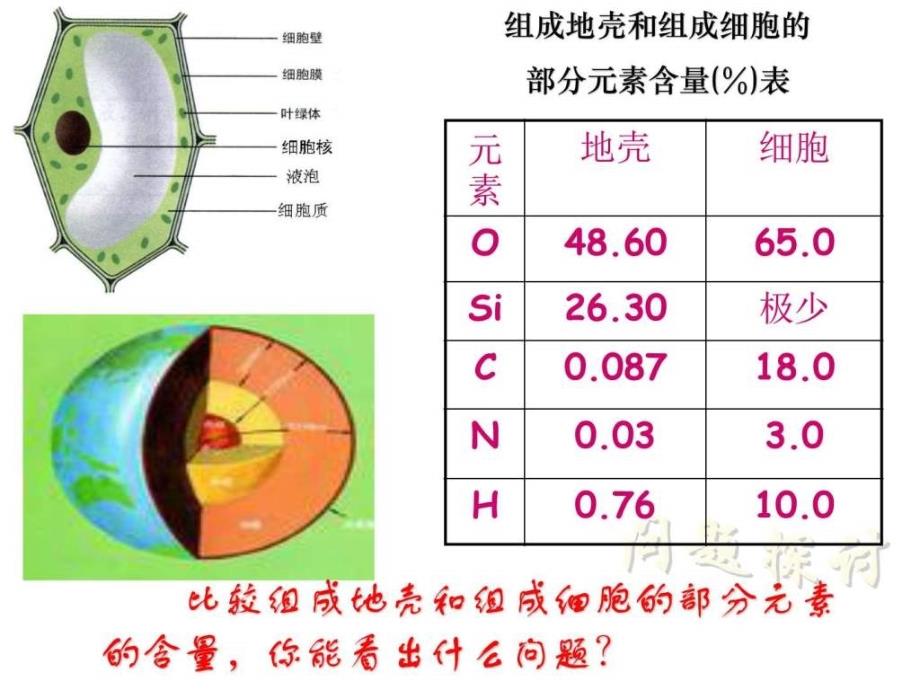 2.1细胞中的元素和化合物ppt高一语文语文高中教育教育专区.ppt12_第3页